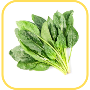 Espinaca