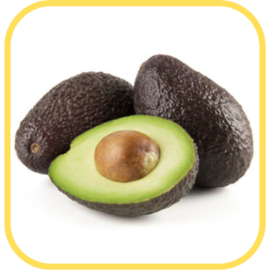 Palta