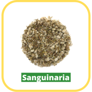 Sanguinaria
