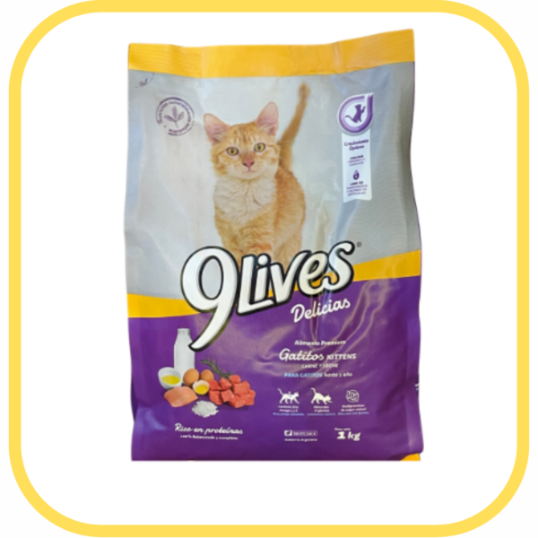 9Lives Alimento para Gato