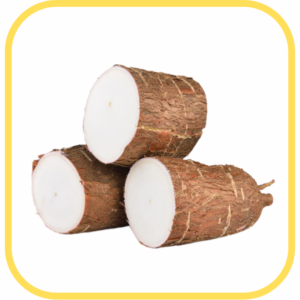 Yuca