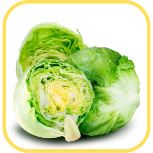 Lechuga Escarola